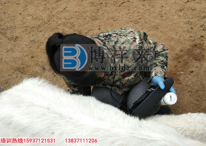 臨沂市益群羊場(chǎng)引進(jìn)博祥來(lái)羊用B超培訓現場(chǎng)