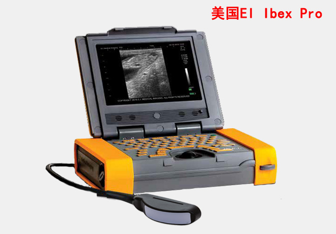 IBEX Pro直腸凸陣探頭標準配置圖