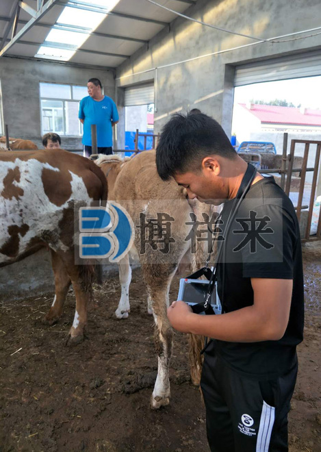 肉牛用B超廠(chǎng)家培訓現場(chǎng)