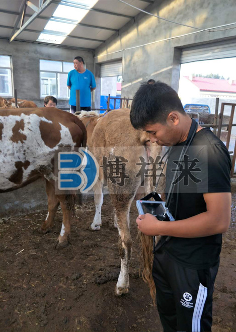 肉牛場(chǎng)用B超機