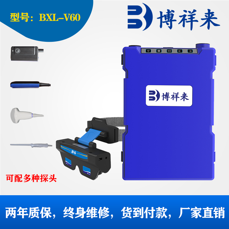 豬用B超測孕儀